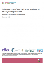 Submission to the Consultation on a new National  Obesity Strategy in Ireland