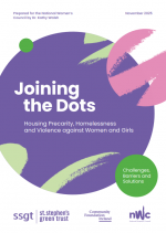 Housing Precarity, Homelessness  and Violence against Women and Girls