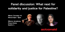 IWD 2026 - Action Aid: What next for solidarity and justice for Palestine?
